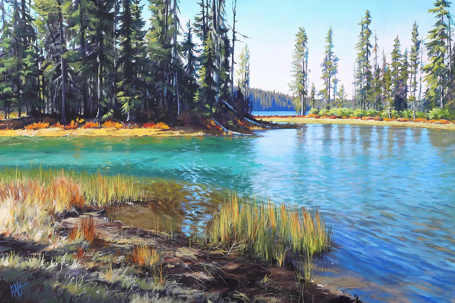 Waldo Lake — Robin Hostick Art